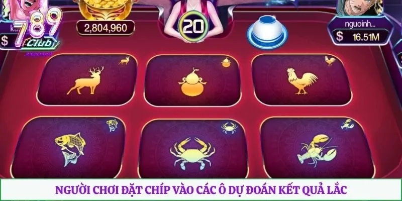 Người chơi đặt chíp vào các ô dự đoán kết quả lắc